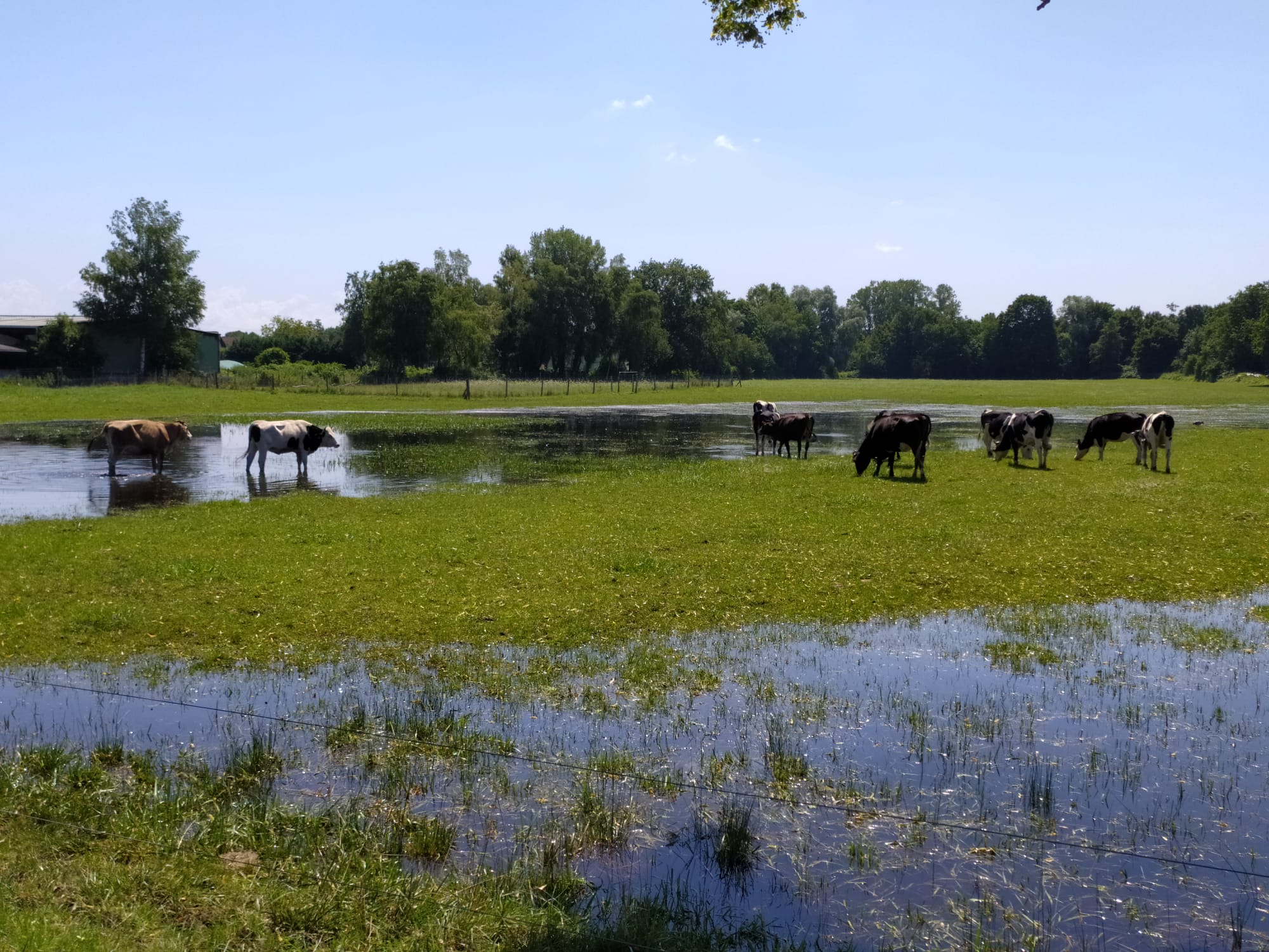 Découvrir WITTERNHEIM