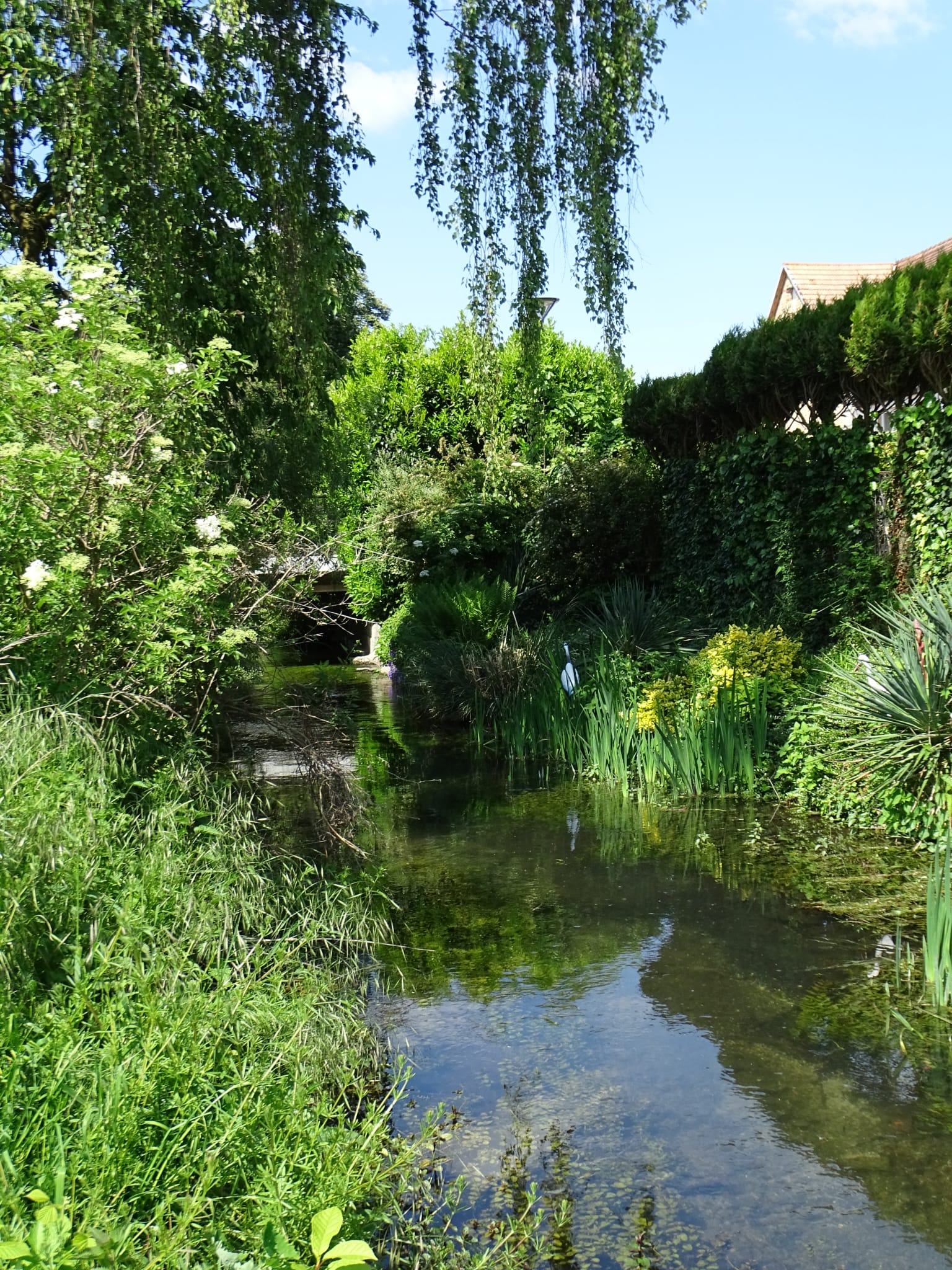 Laufgraben à Witternheim