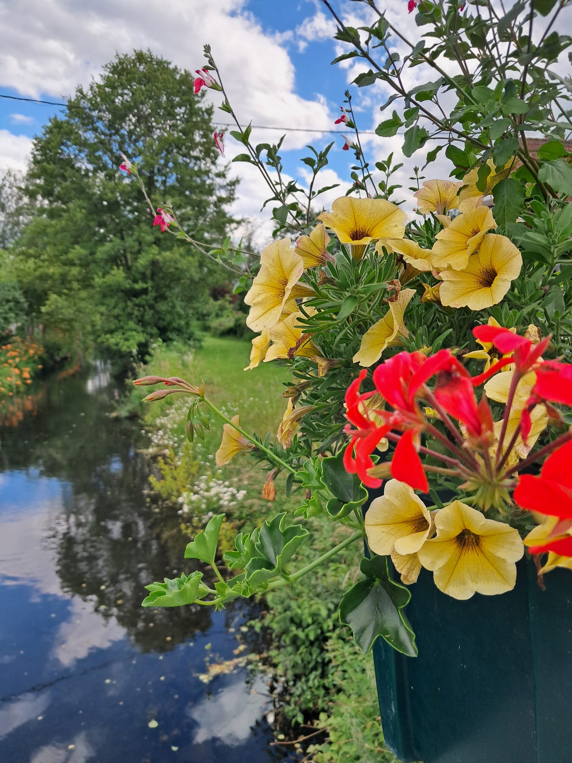 Witternheim Printemps 2024